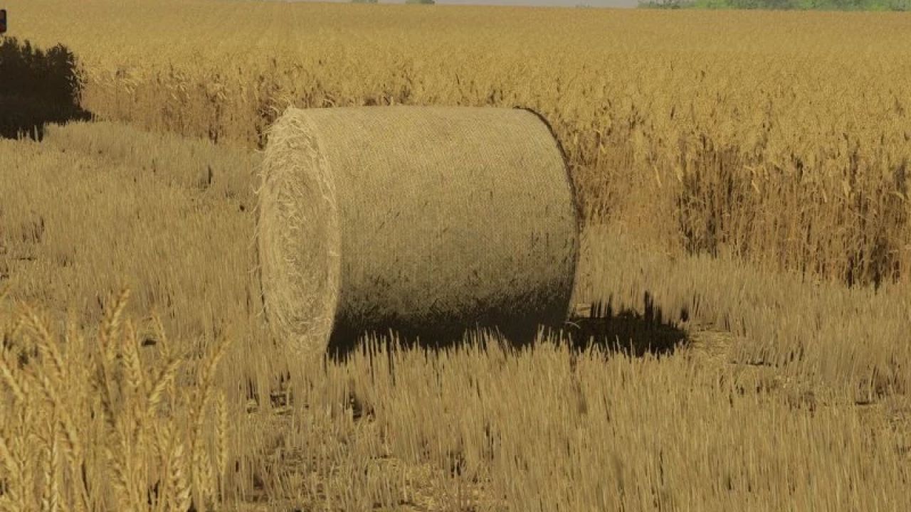 Текстуры ячменя и пшеницы