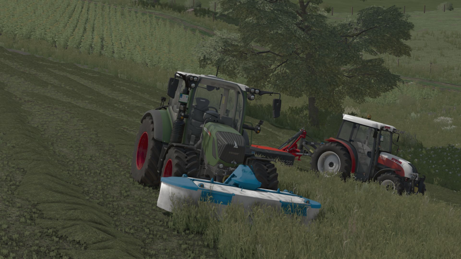 BCS Rotex 7 Avant