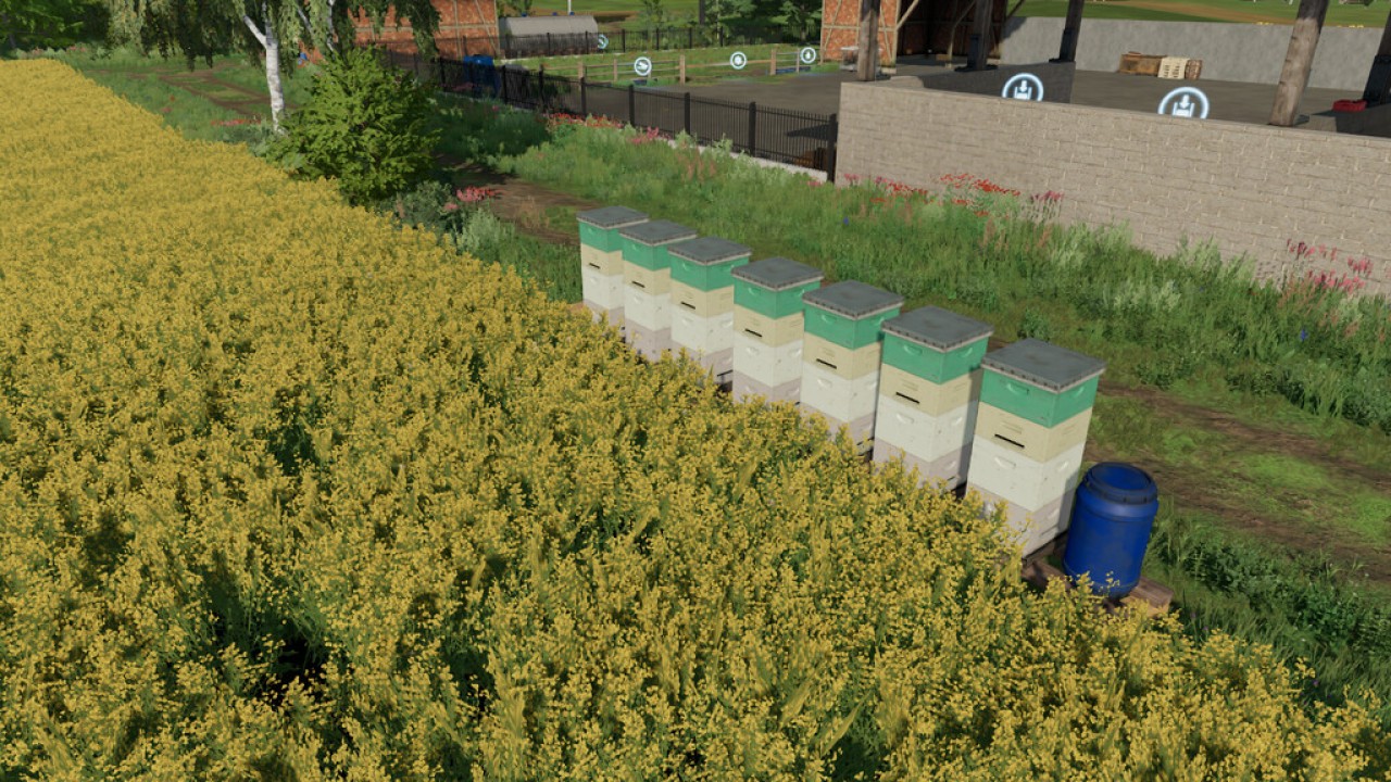 Bienenstock-Paket