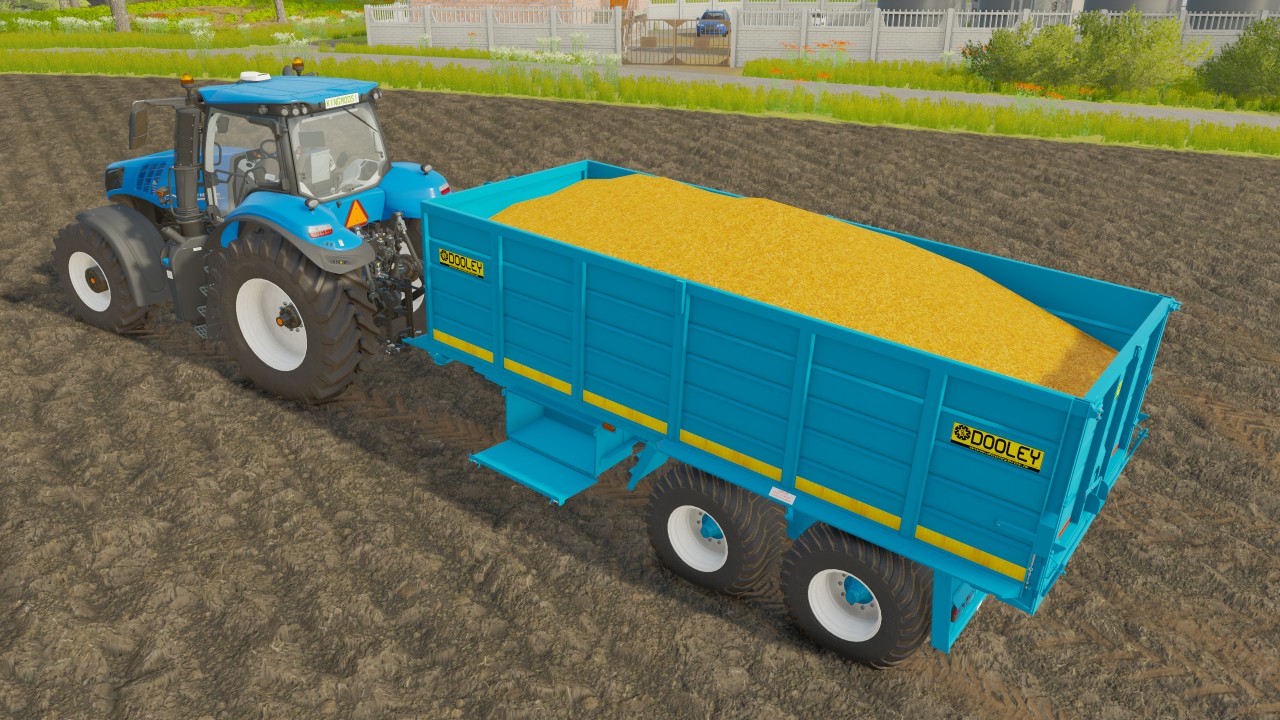 Benne Dooley 16T-19T