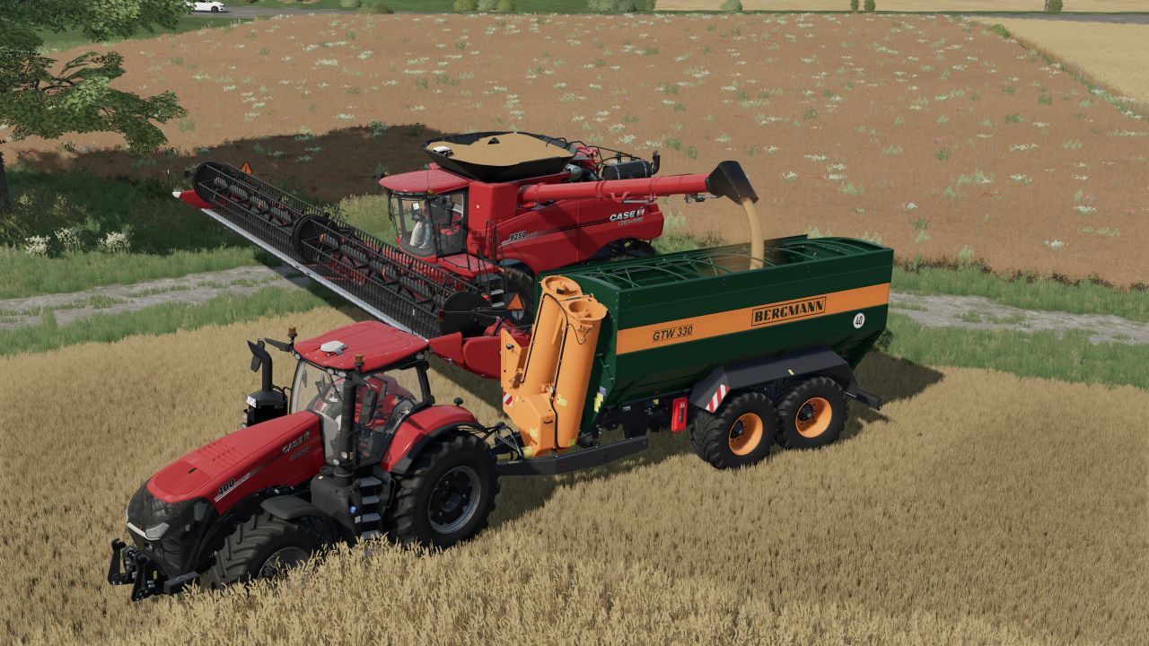 Bergmann GTW 330 LE