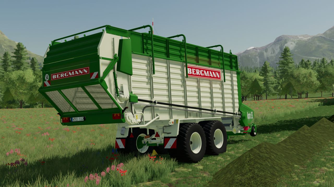 Bergmann Raptor 35S