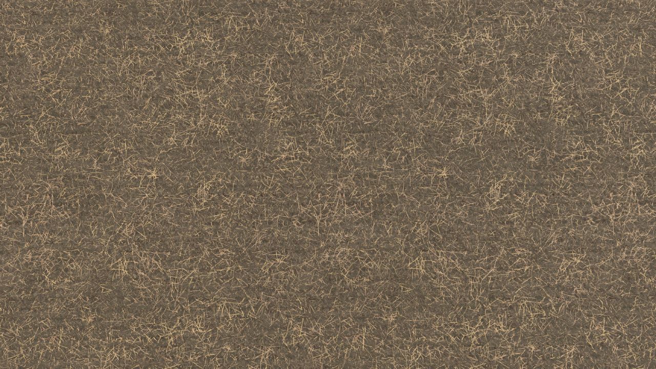 Meilleure texture du terrain