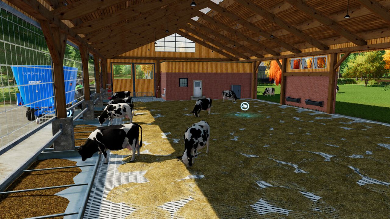 Grande stalla per mucche