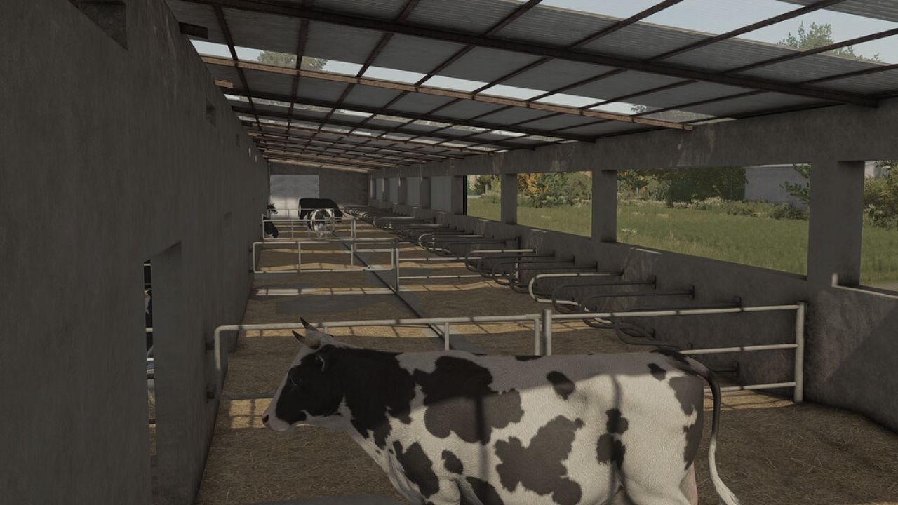 Grande stalla per mucche ristrutturata