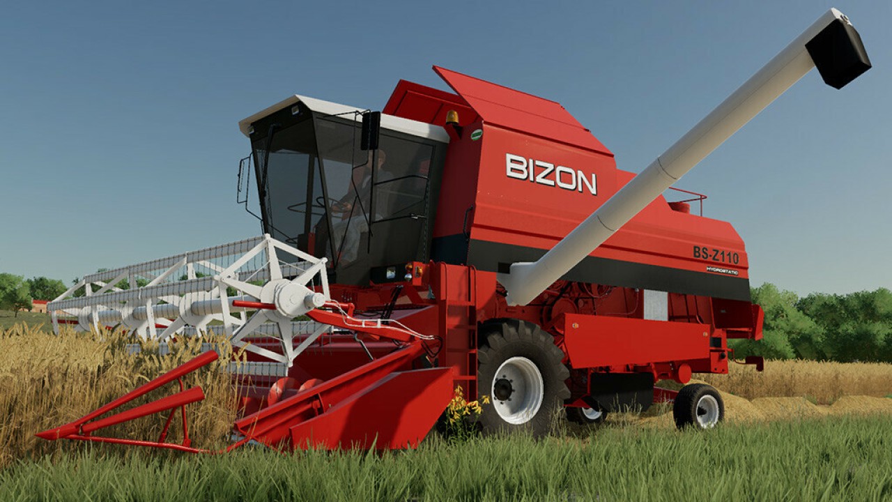 Bizon BS Z110