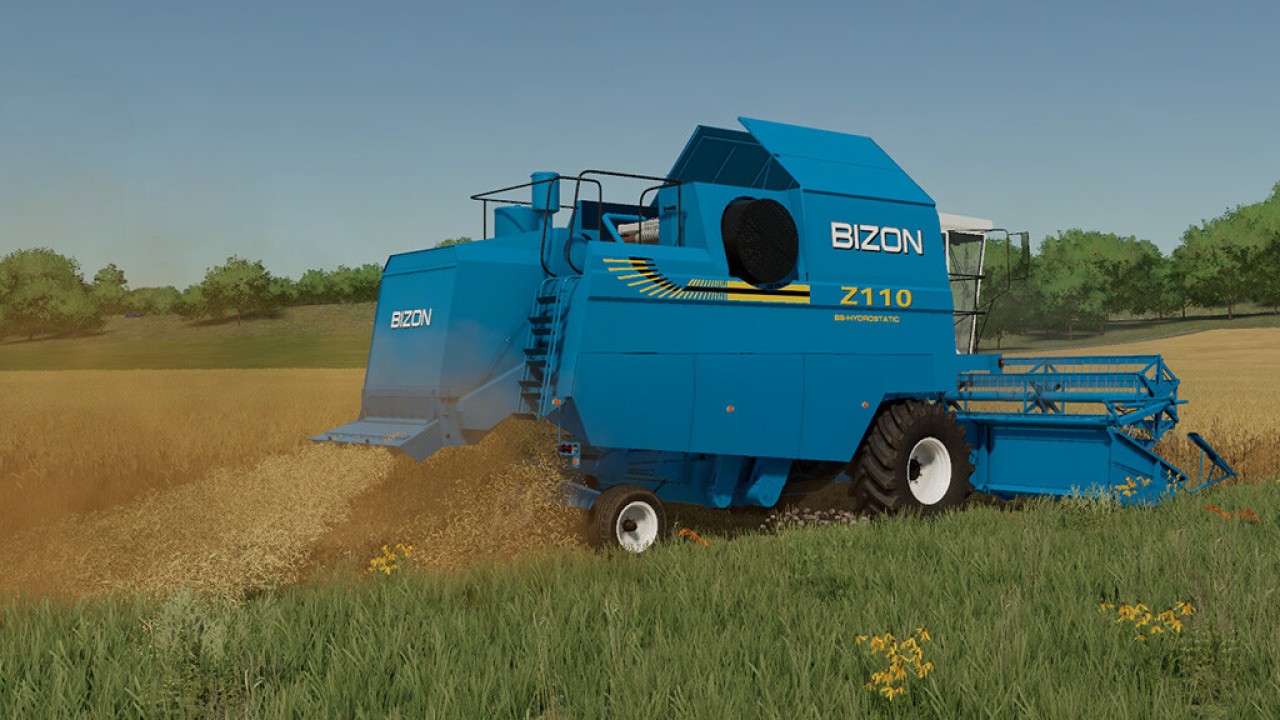 Bizon BS Z110