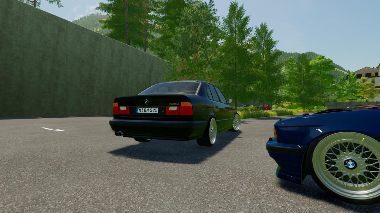 BMW Series 5 E34