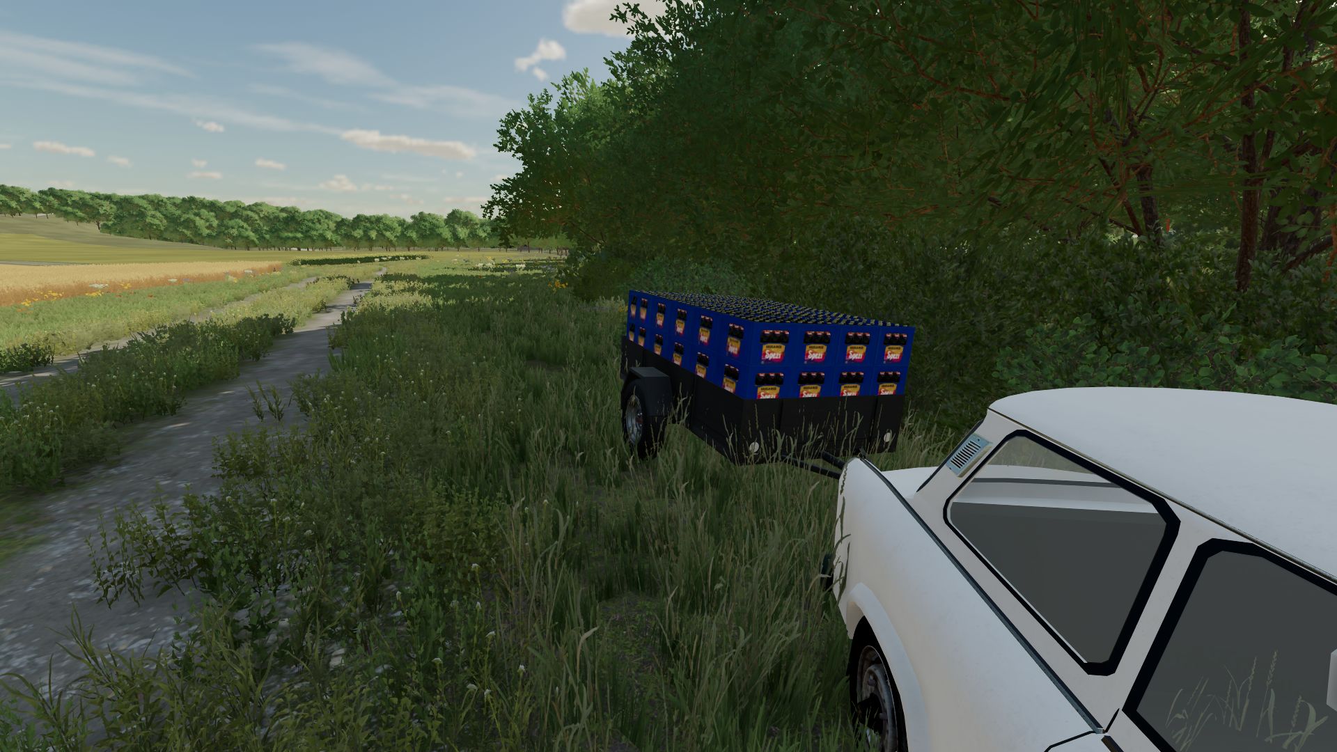 Auto aanhanger