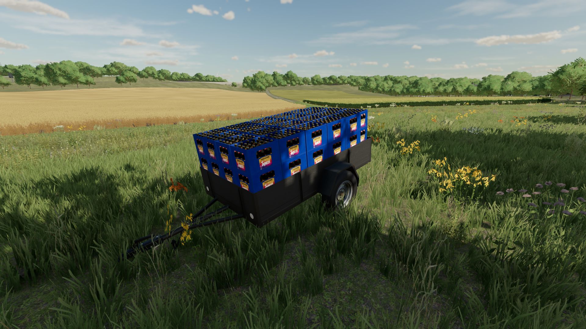 Auto aanhanger