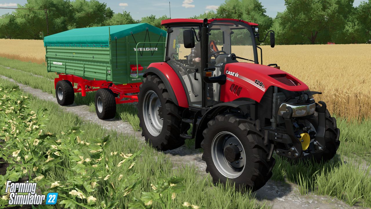 Case IH Farmall Anniversary Pack