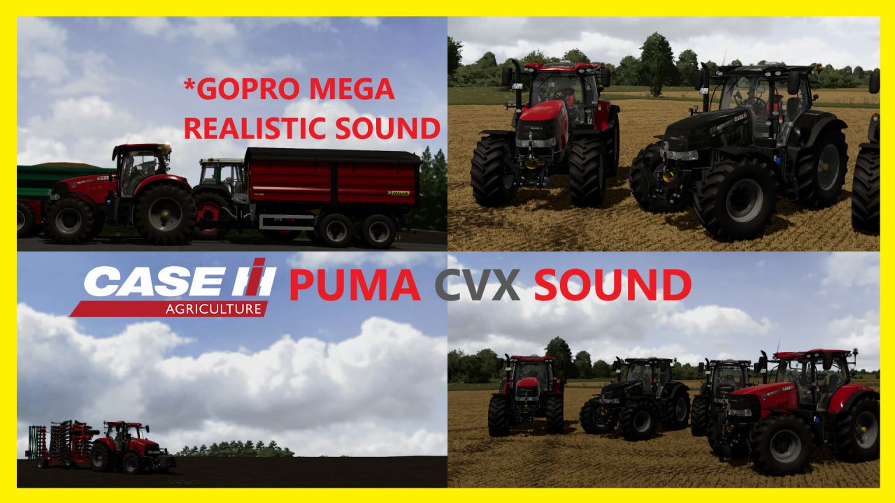 CASE PUMA GOPRO SOUND PREFAB