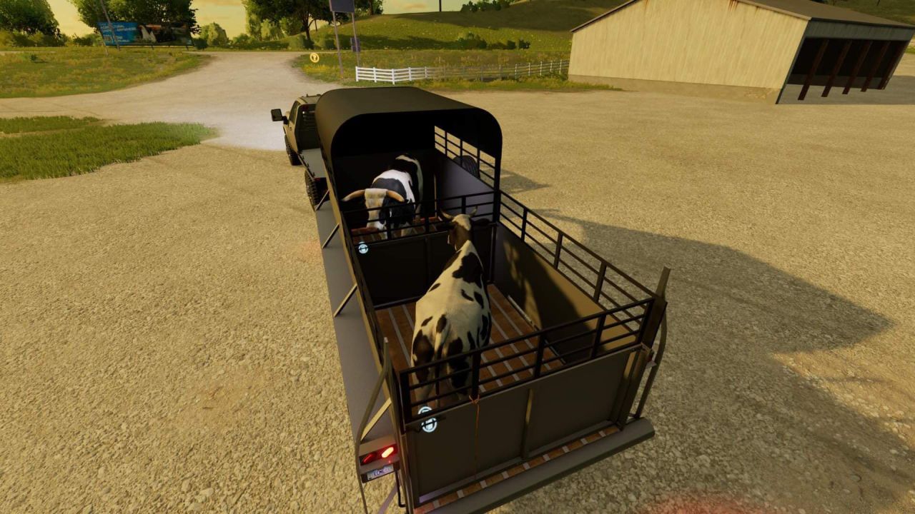 Catch Livestock Trailer