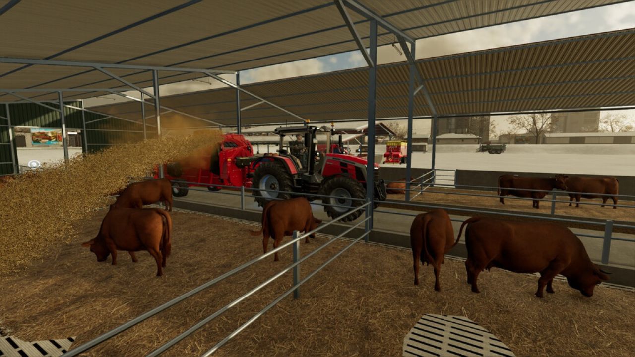 Загоны для крупного рогатого скота для мясного скота