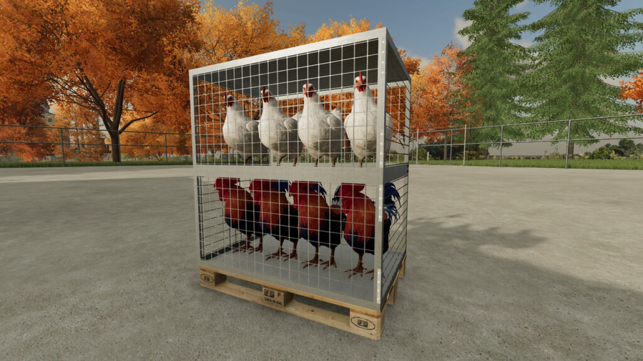 Caja de transporte de pollo