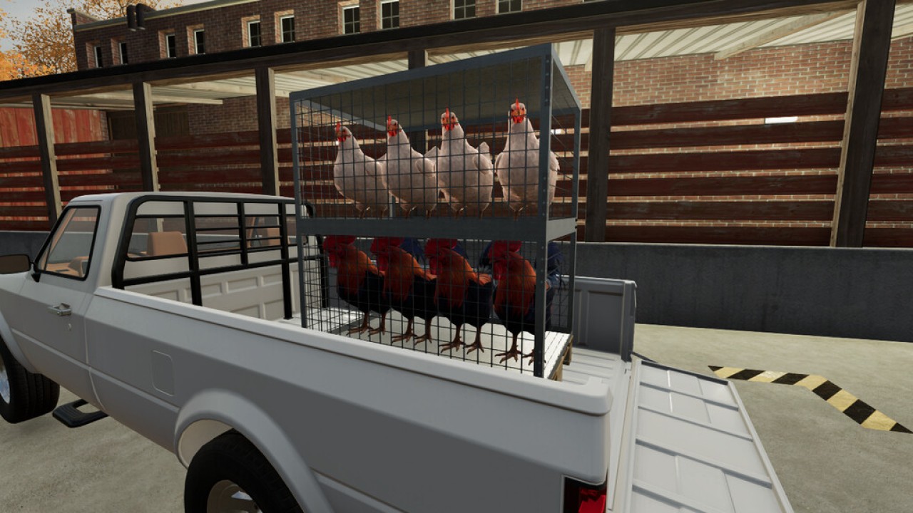 Caja de transporte de pollo