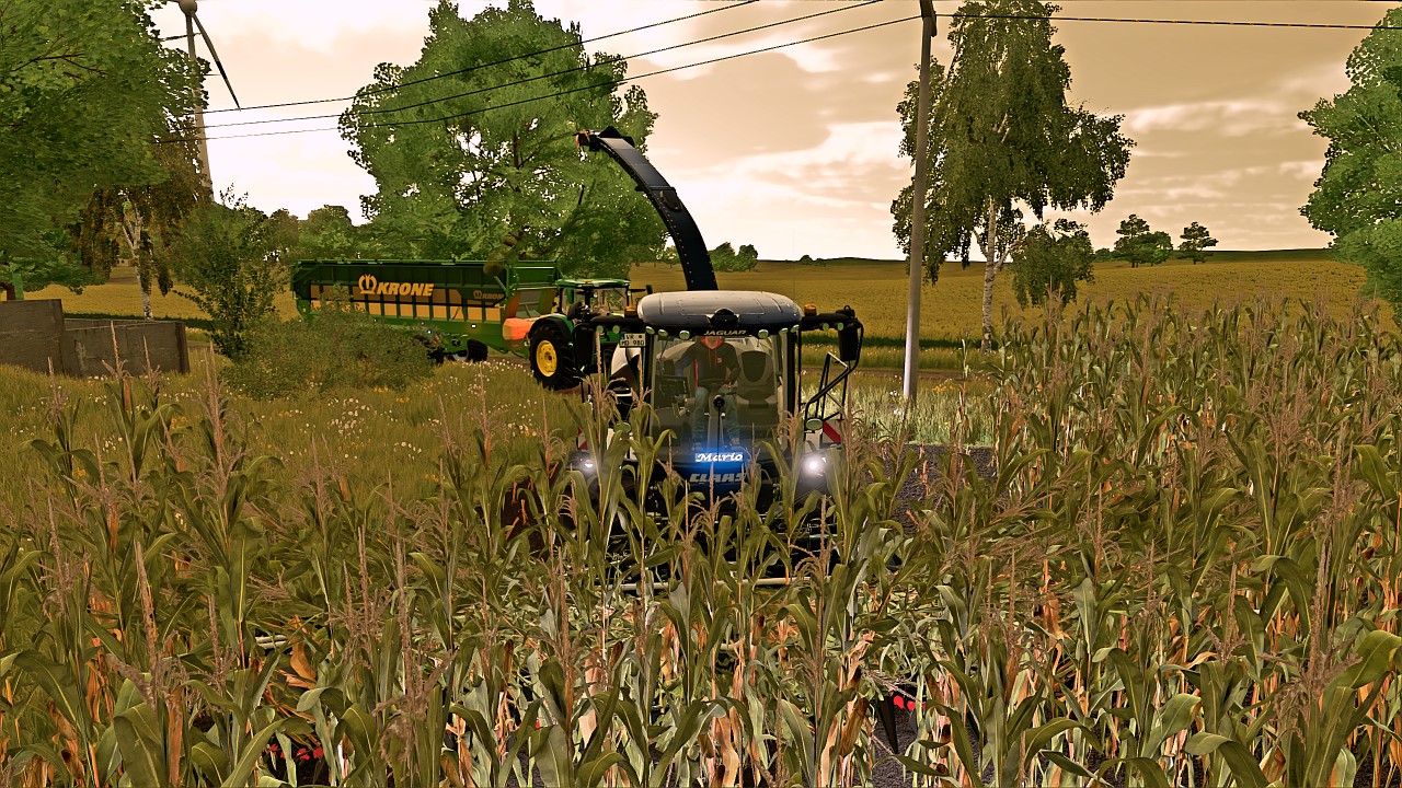 Claas Jaguar 900