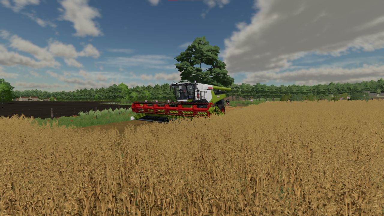 Claas Lexion 8000 Edit