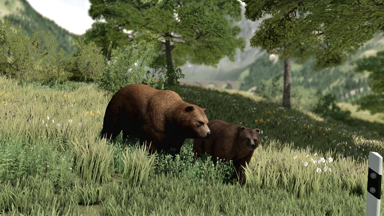 Confezione di orsetti grizzly posizionabili decorativi