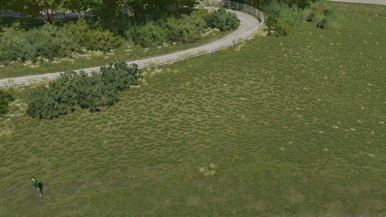 Decorative Rock Pack