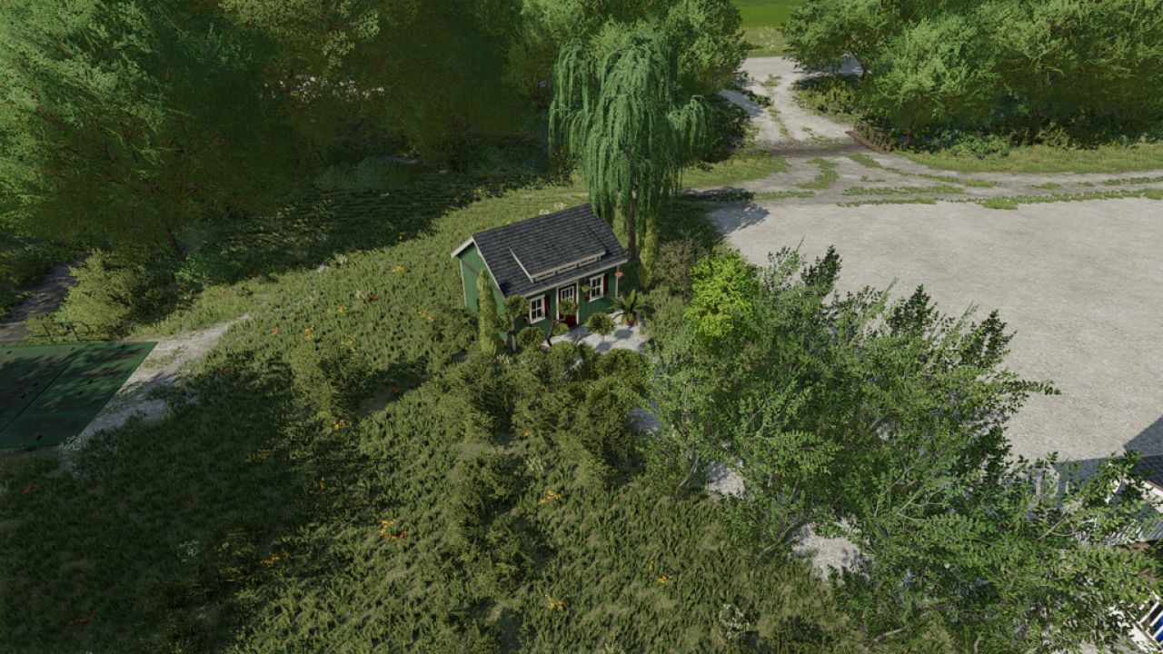 Decotrees And Decoplants