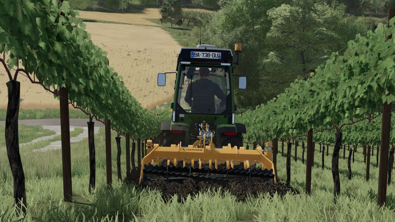 Disc-o Vigne 6m