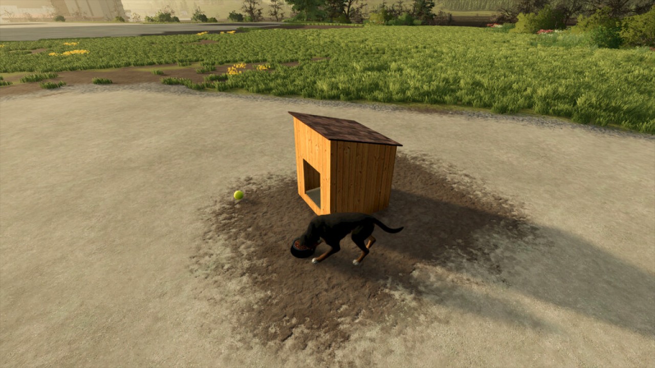 Dog Houses