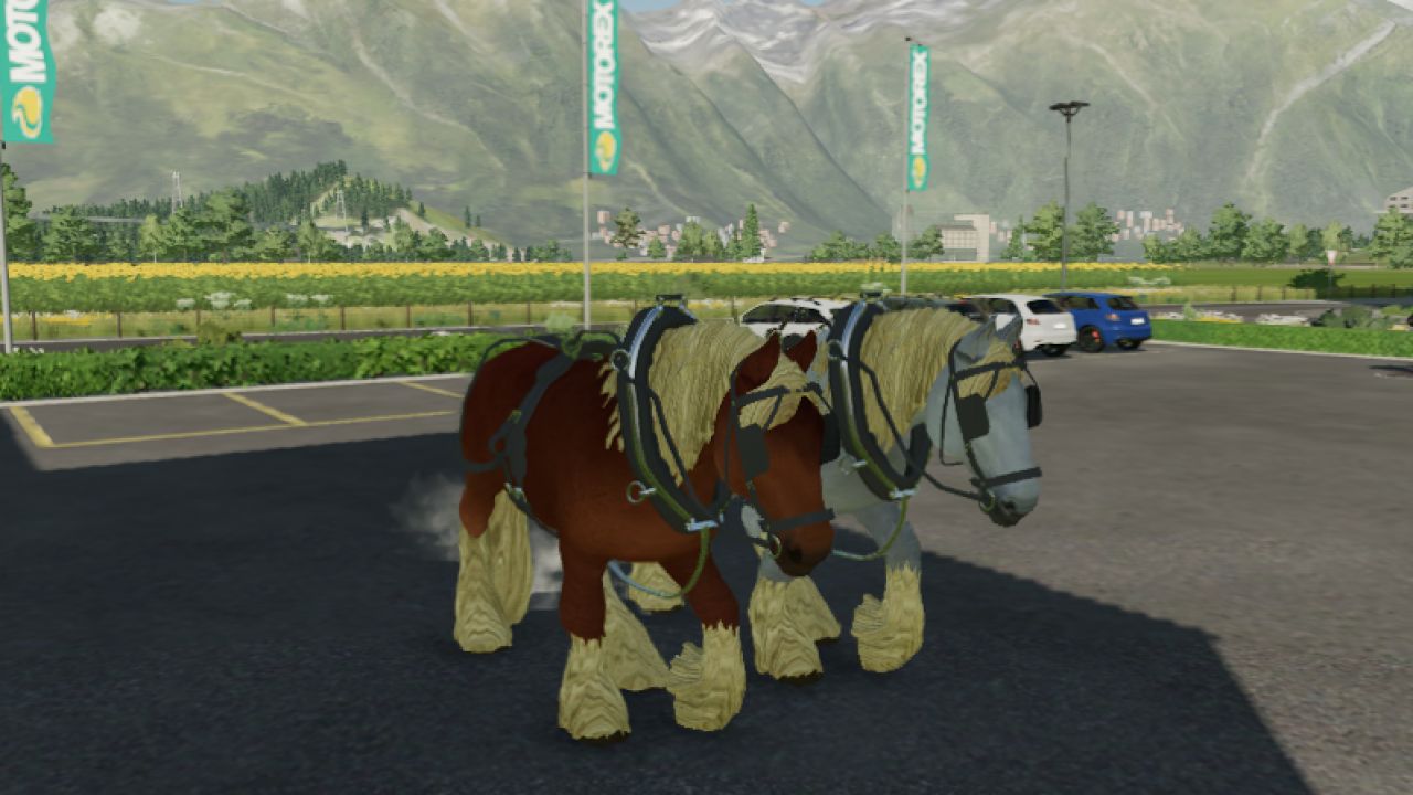 Draft Horse and Ox Pack