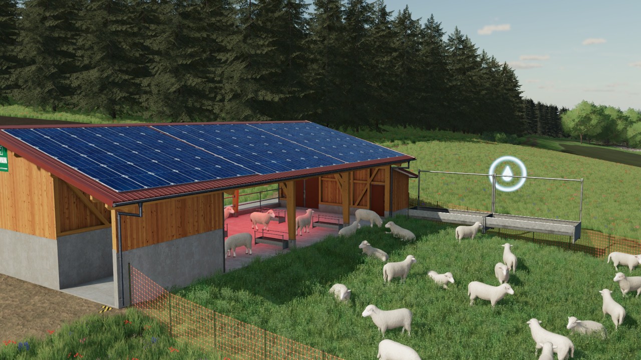 Eco-Friendly Sheep Pens