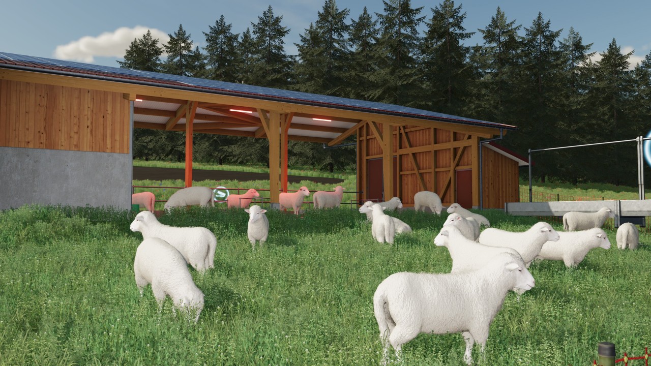 Eco-Friendly Sheep Pens