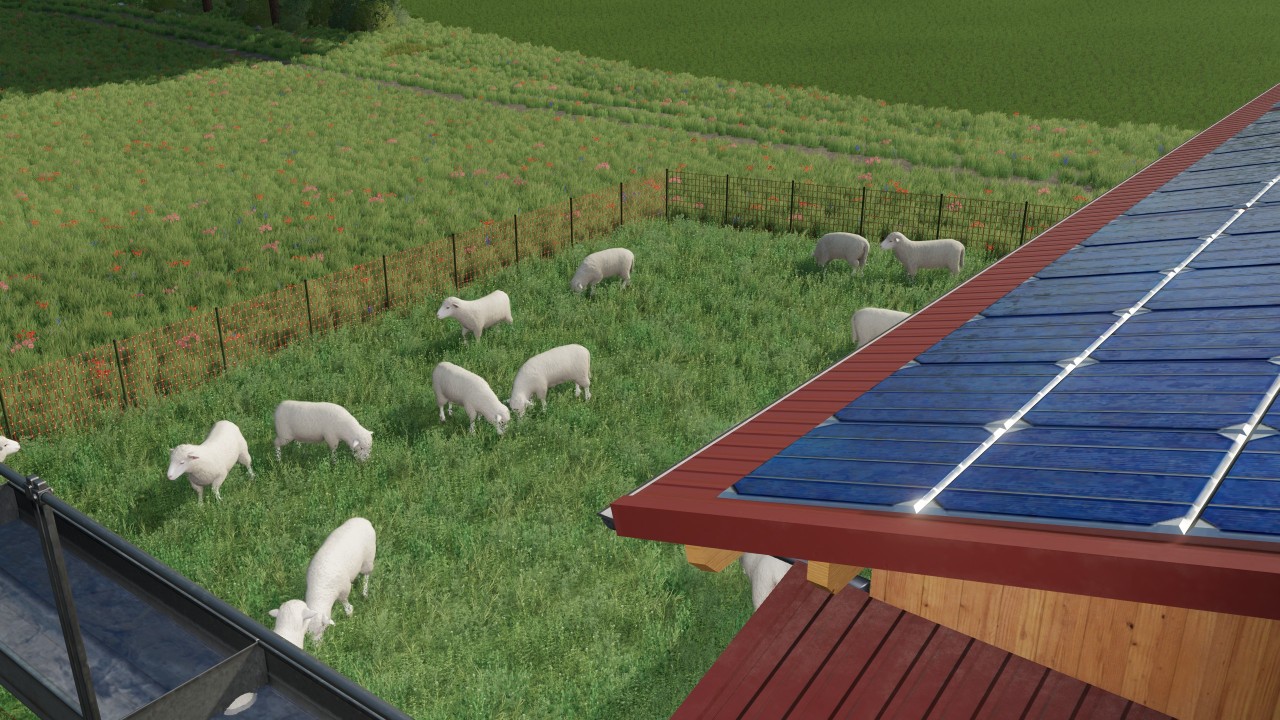 Enclos à moutons écologiques