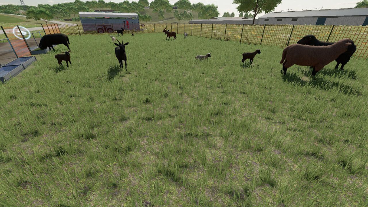 Enhanced Sheep And Goat Pasture