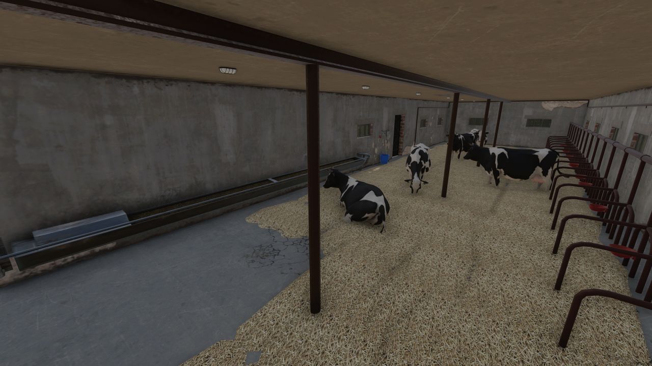 Edificio de granja con vacas.