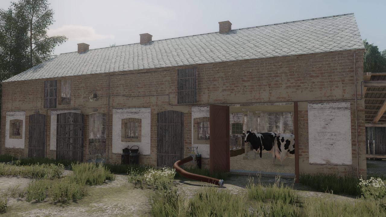 Edificio de granja con vacas.