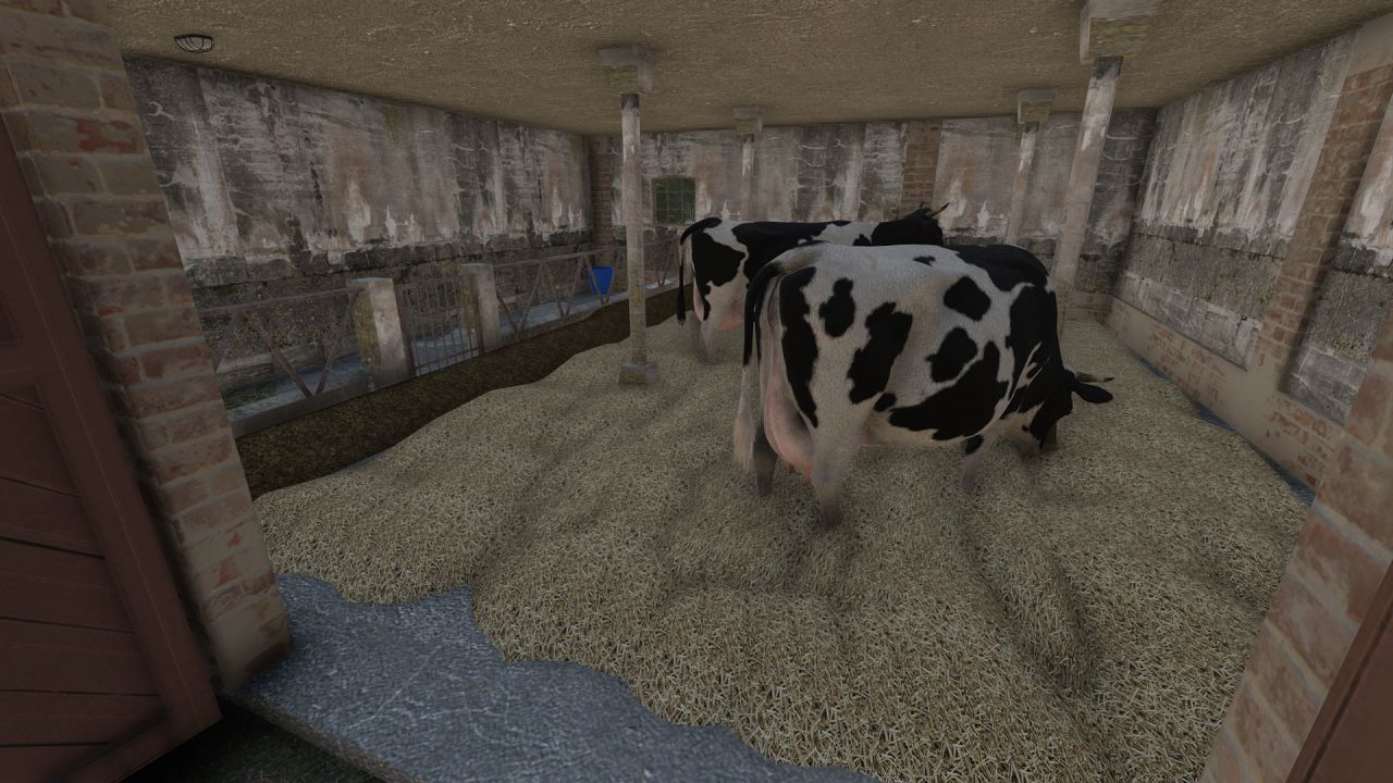 Construção de fazenda com vacas