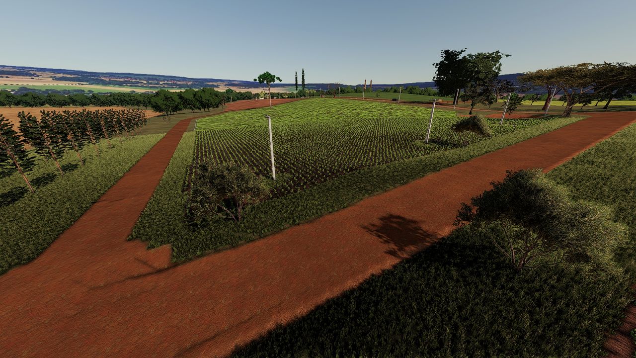 Fazenda Primavera