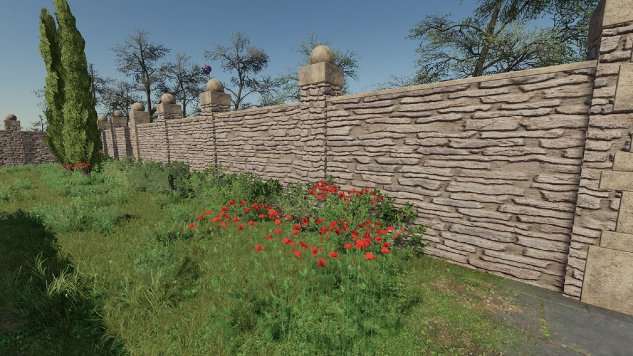 Mur de clôture et porte