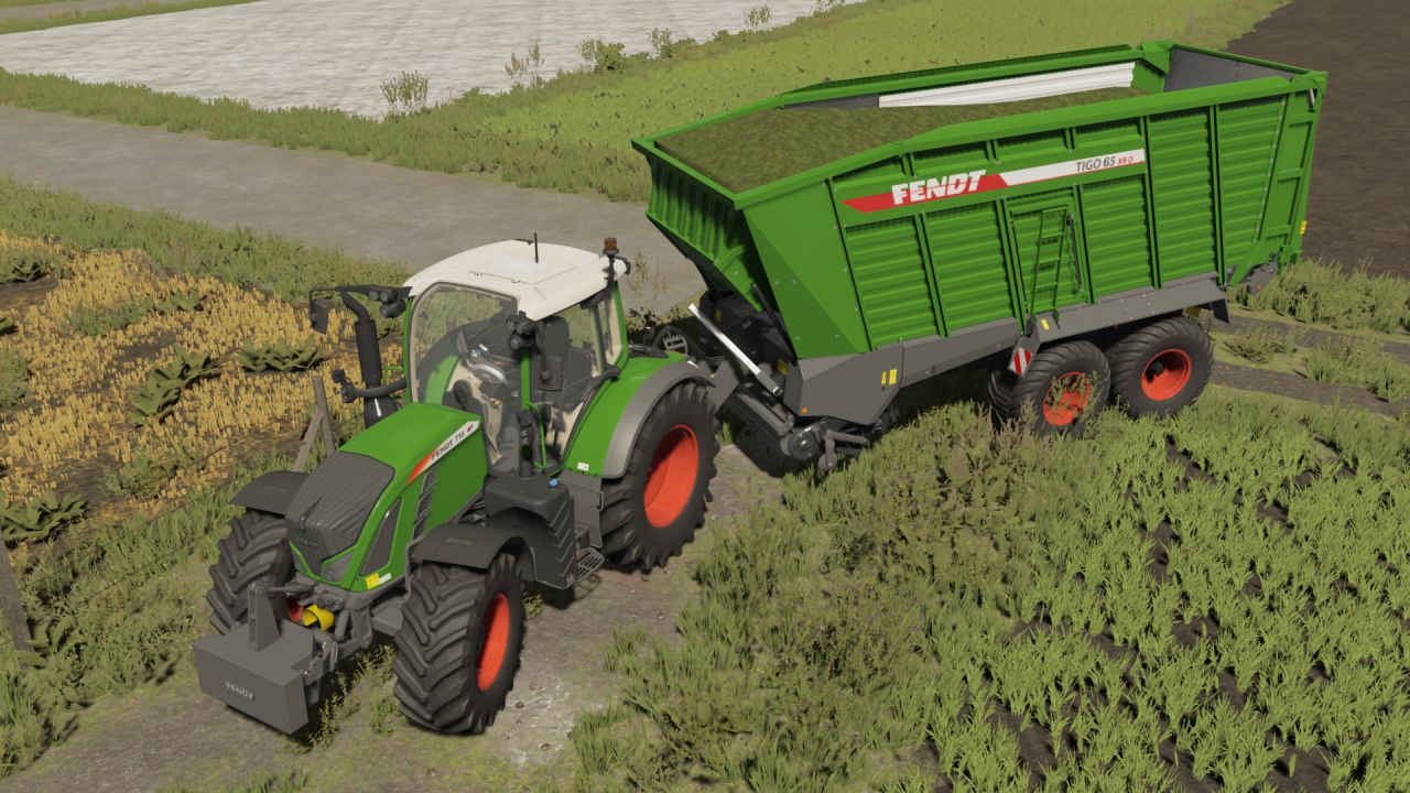 Fendt Tigo 65 XR D