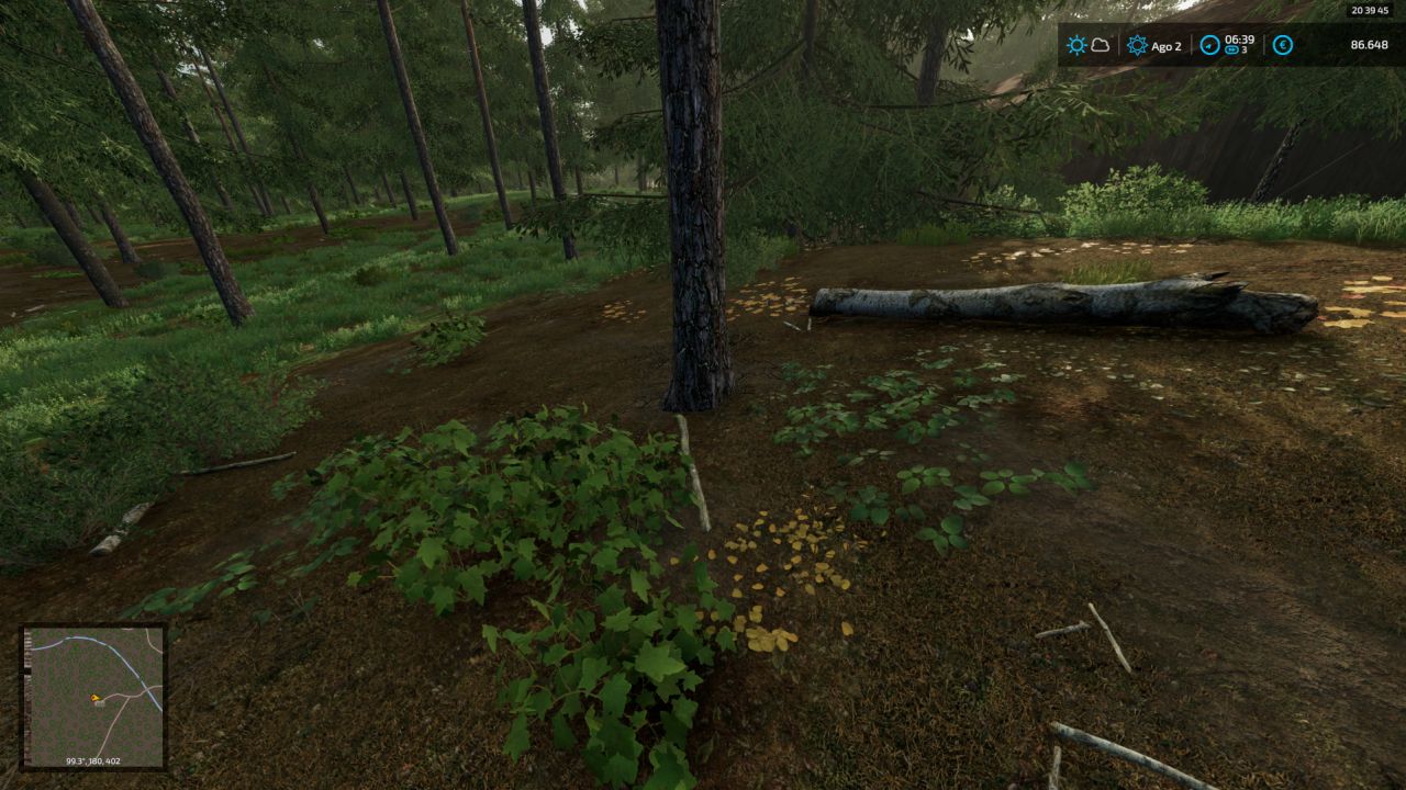 Fichthal Bush Remover