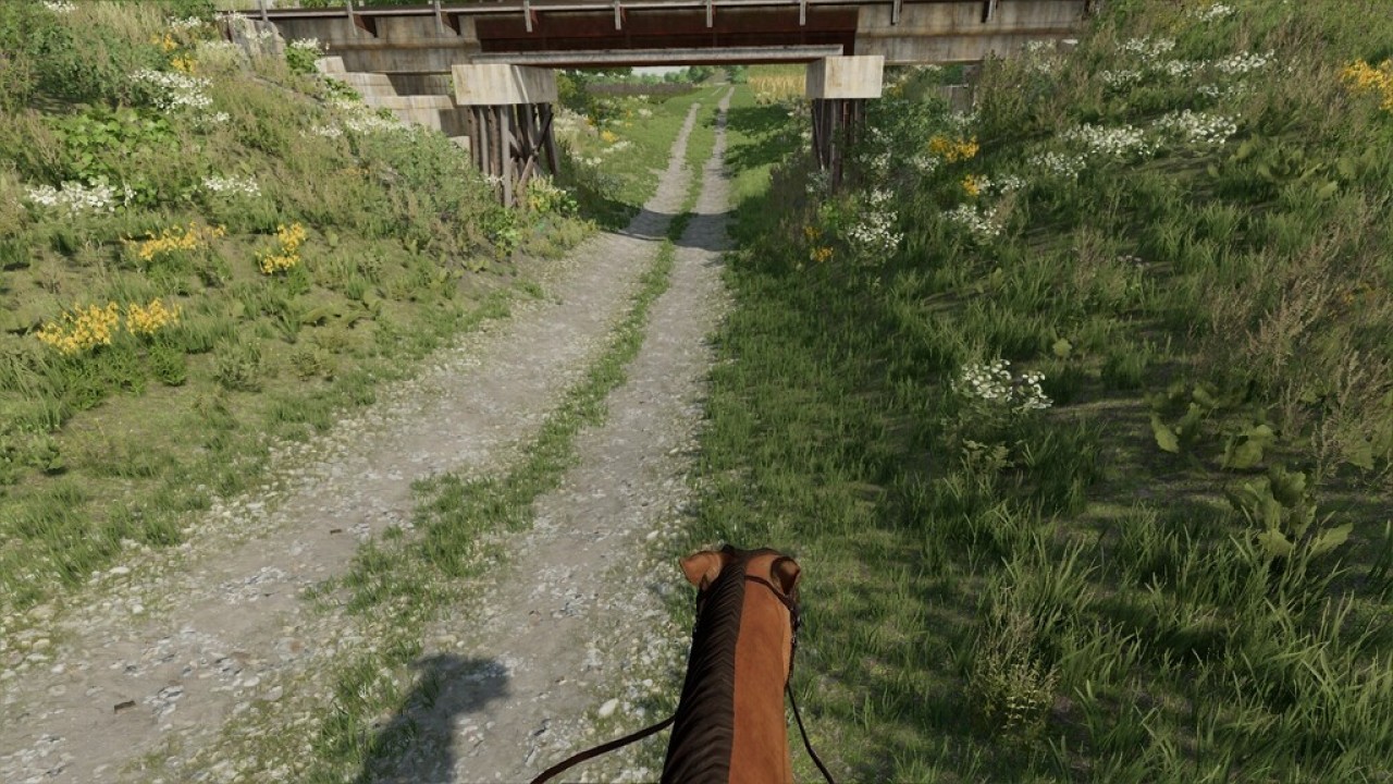 Horse Riding not compatible with Work Camera Mod : r/farmingsimulator