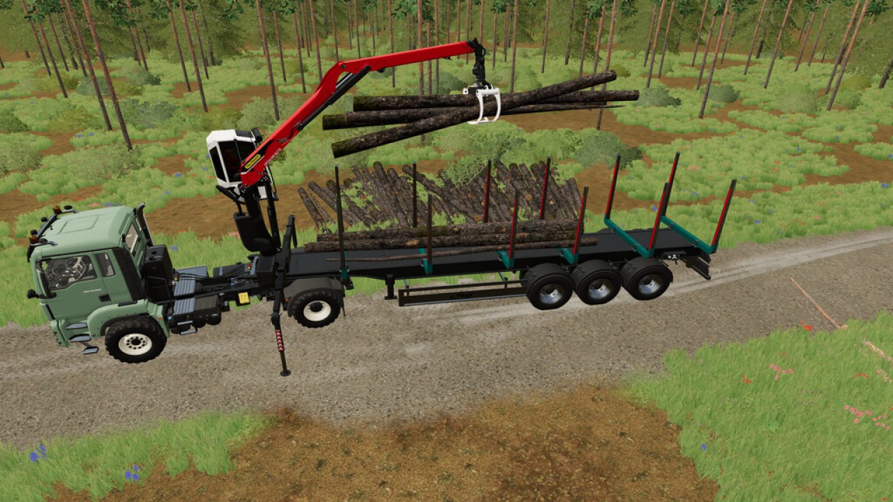 Fliegl Timber-Runner z żurawiem typu Z
