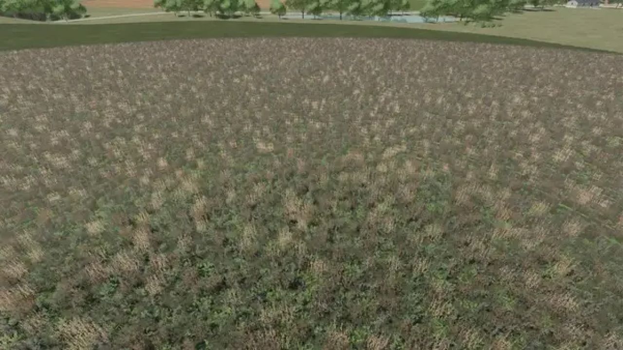 Flowering cover crop (Prefab)