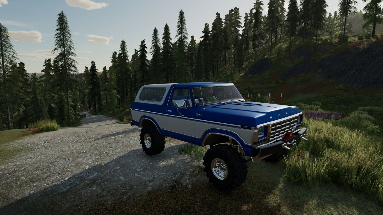 Ford Bronco Custom 1978