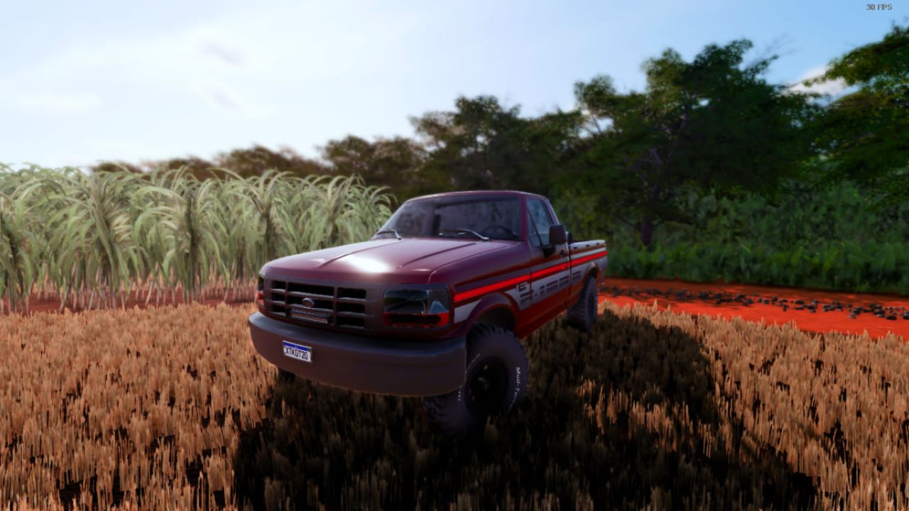 Ford F1000