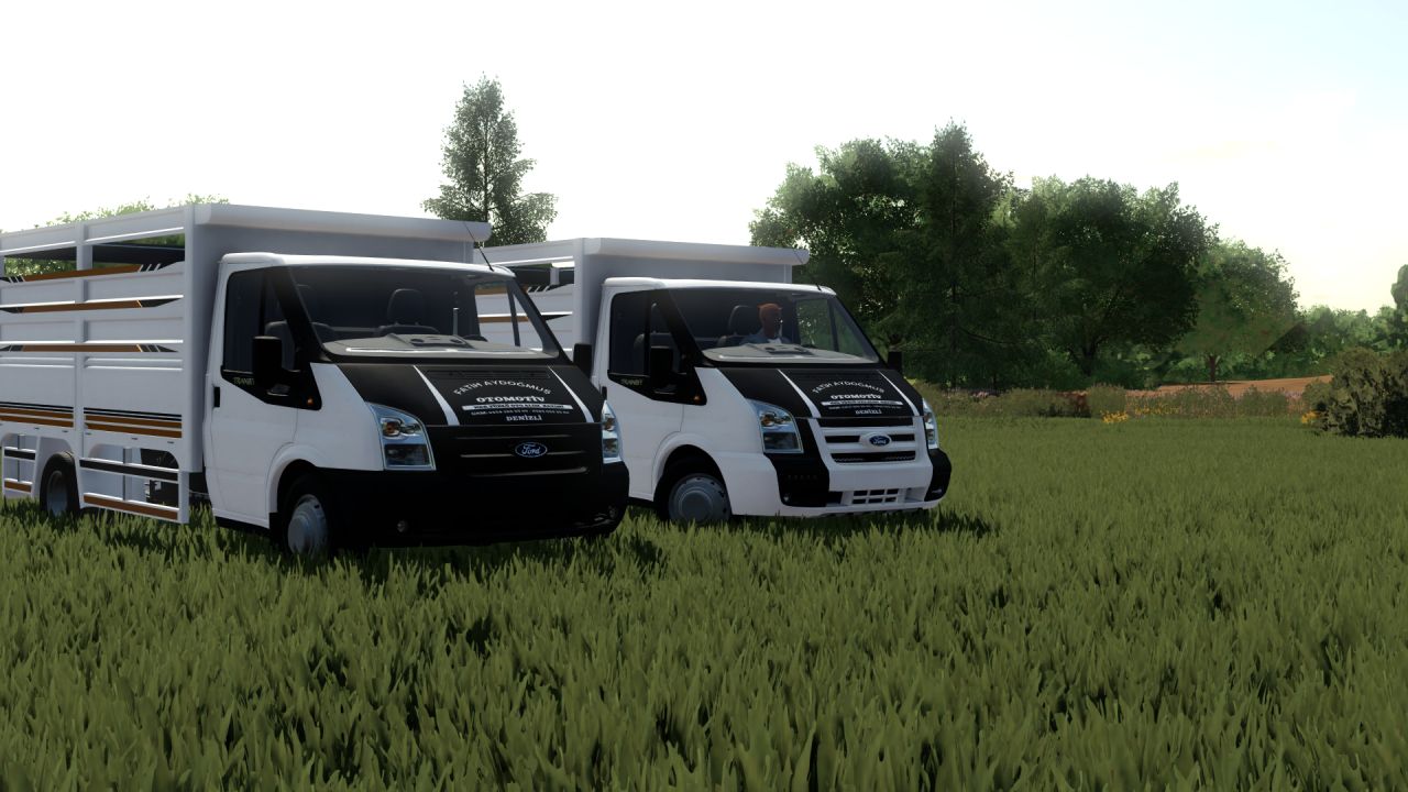 Ford Transit 2012