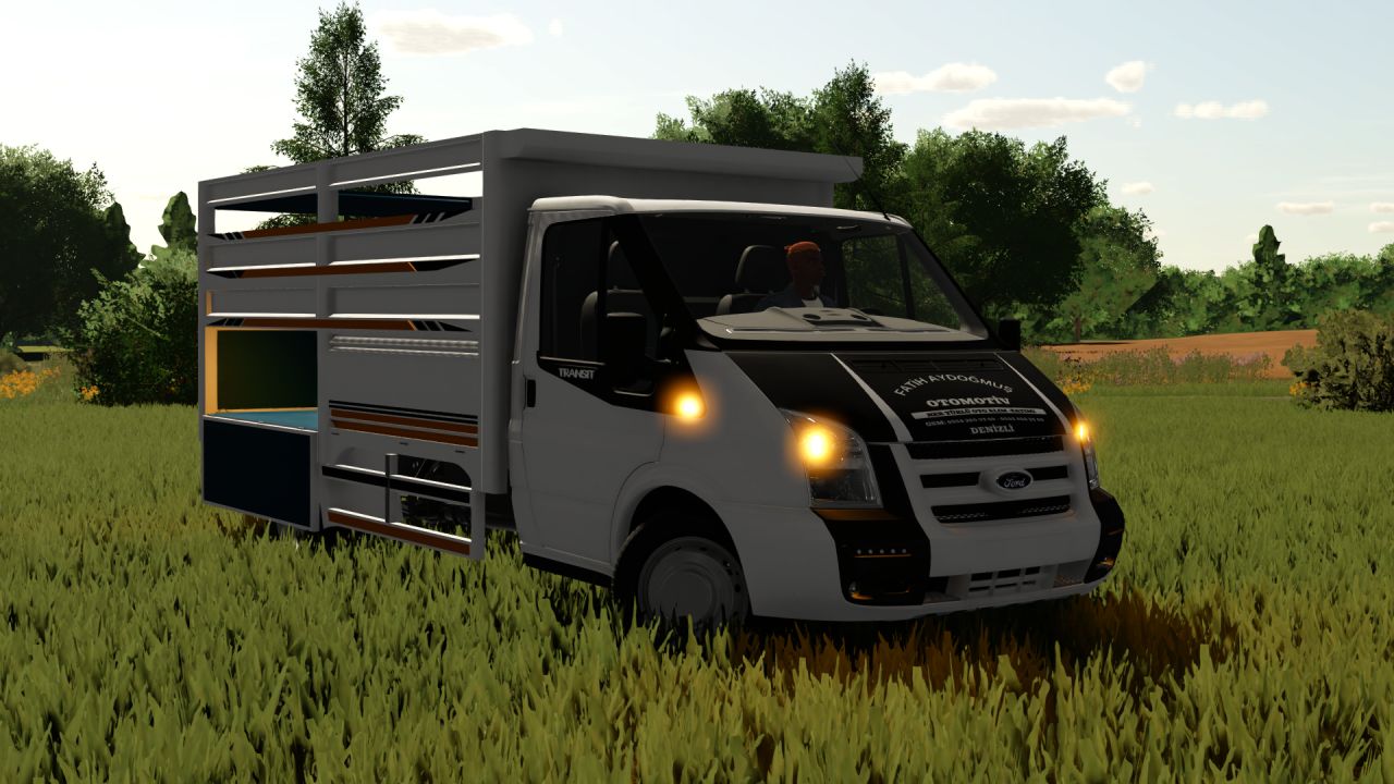 Ford Transit 2012