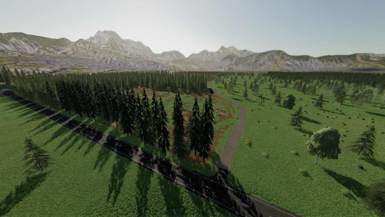 Forest Valley