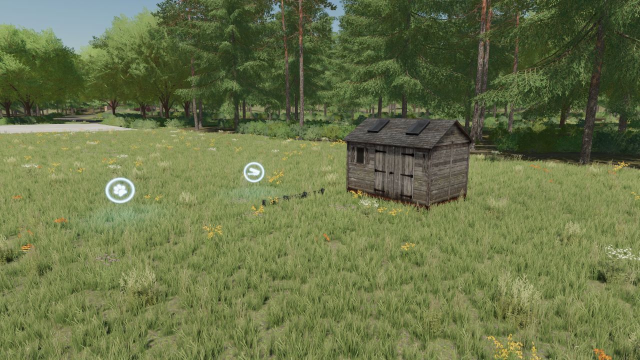 Free-range chicken pasture