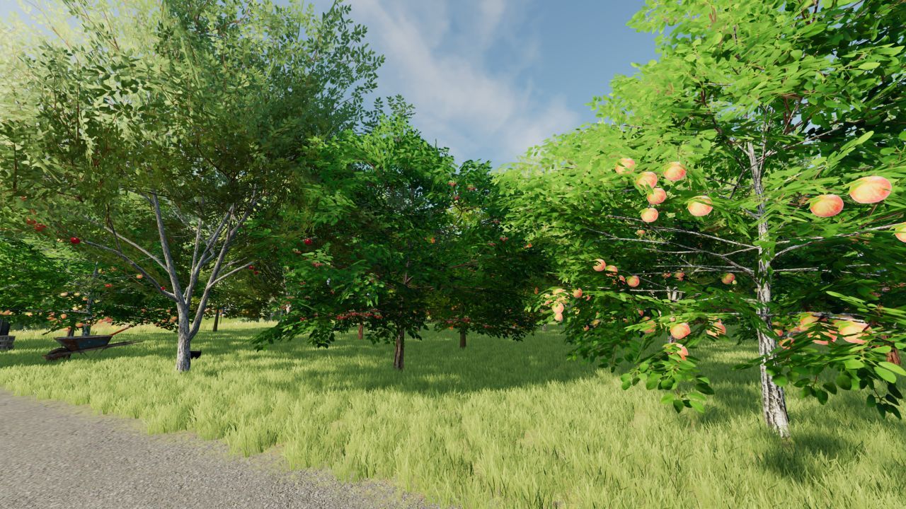 Fruit Orchard
