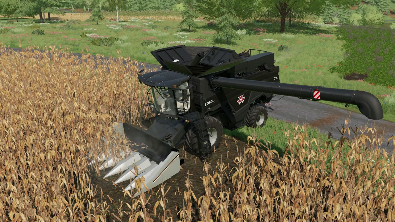 Gleaner 3000